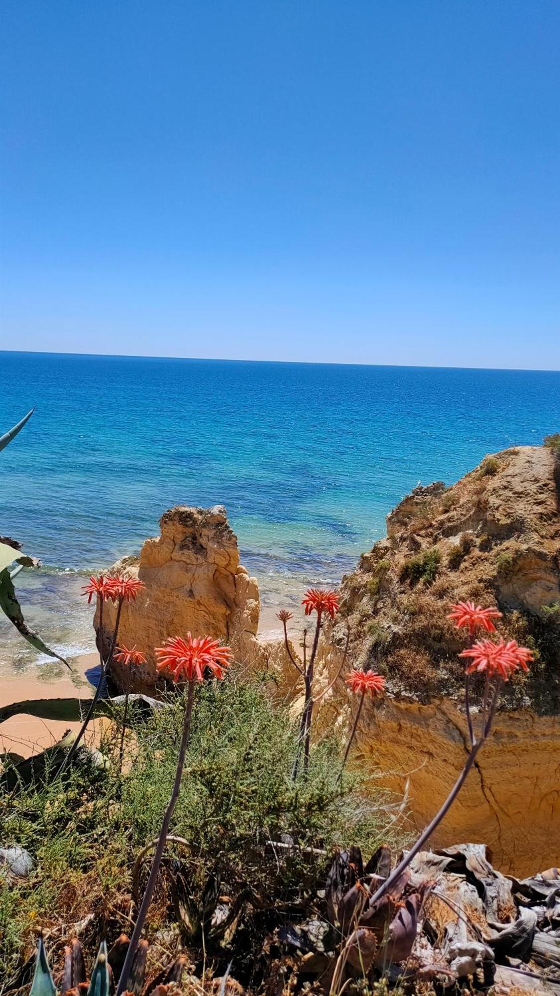 Cantinho Do Sol - Sea View, Quiet, Cozy And Relaxing Flat Armação de Pêra 外观 照片